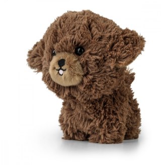 Maskotka TEDDY PETS Szczenię pudla Daffi