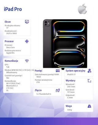 IPad Pro 11 cali Wi-Fi + Cellular 2TB - Gwiezdna czerń Apple