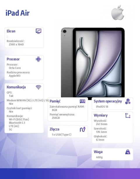 IPad Air 11 cali WiFi + Cellular 256GB Szary Apple