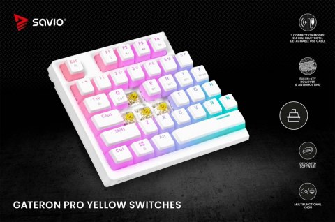 Klawiatura mechaniczna bezprzewodowa SAVIO PHENIX WHITE Gateron Yellow, Pudding Savio