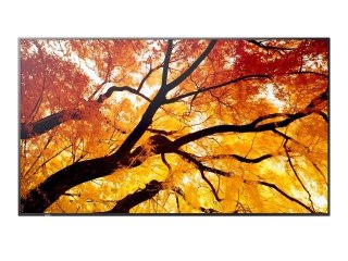 Monitor wielkoformatowy MultiSync M552 55 cali 550cd/m2 24/7 Sharp