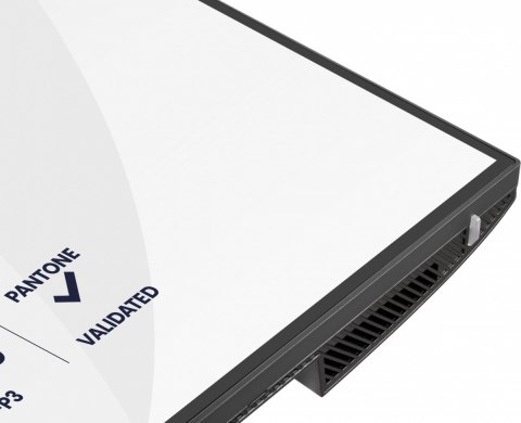 Monitor 31.5 cala ProGraphic HB3201UHSNP-B1 4K,IPS BLACK 2.0,450cd,VESA USB-c dock(PD:96W),HDMI,DP,DAISY/CHAIN,4xUSB,RJ45,3000:1 IIYAMA