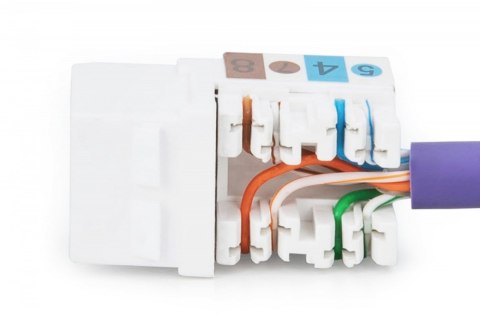 Moduł Keystone RJ45 kat.6 UTP LSA Digitus