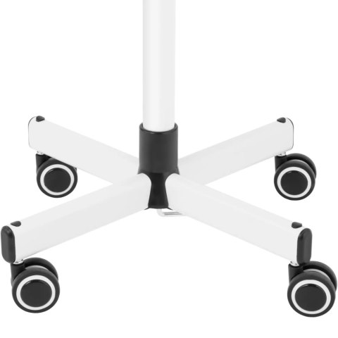 Wapozon kosmetyczny parownica do twarzy z funkcją aromaterapii i lampą 750 W Physa