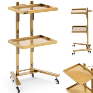 Wózek pomocnik kosmetyczny fryzjerski metalowy 2 półki 40 x 86 x 50 cm - złoty Physa