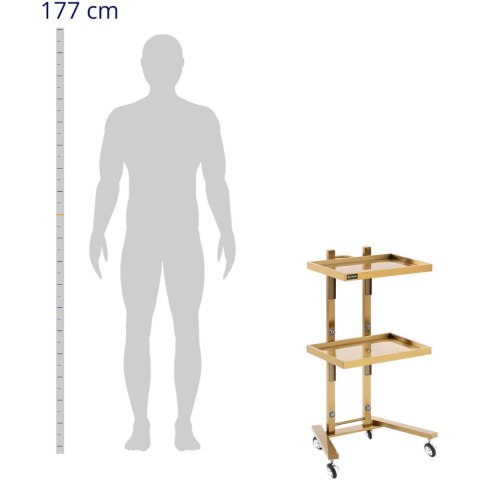 Wózek pomocnik kosmetyczny fryzjerski metalowy 2 półki 40 x 86 x 50 cm - złoty Physa