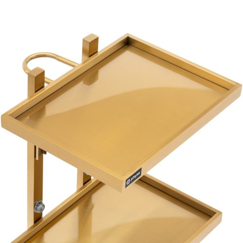 Wózek pomocnik kosmetyczny fryzjerski metalowy 2 półki 40 x 86 x 50 cm - złoty Physa