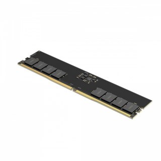 Pamięć DDR5 32GB(1*32GB)/5600 CL46 Lexar