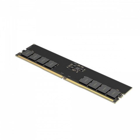 Pamięć DDR5 32GB(1*32GB)/5600 CL46 Lexar