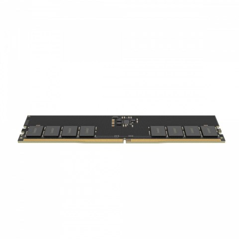 Pamięć DDR5 32GB(1*32GB)/5600 CL46 Lexar