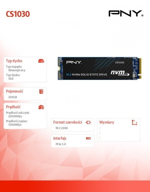 Dysk SSD 250GB M.2 2280 CS1030 M280CS1030-250-RB PNY