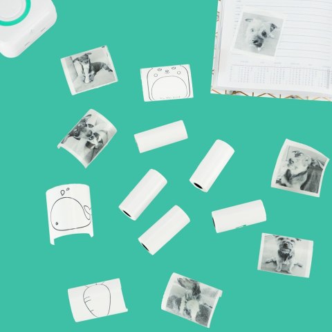 Rolki papier wkład samoprzylepny termiczny do mini drukarki 5,7cmx4,5m 5 sztuk Kik Sp. z o. o. Sp. k.