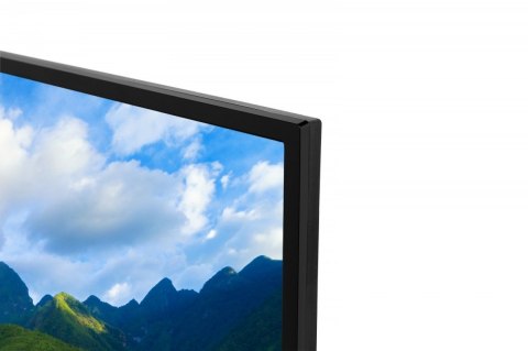 Telewizor LED 24 cale 24WV3F63DG Toshiba