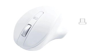 Mysz bezprzewodowa - Wireless USB-C Pro Mouse White Matias