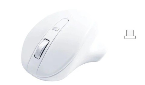 Mysz bezprzewodowa - Wireless USB-C Pro Mouse White Matias