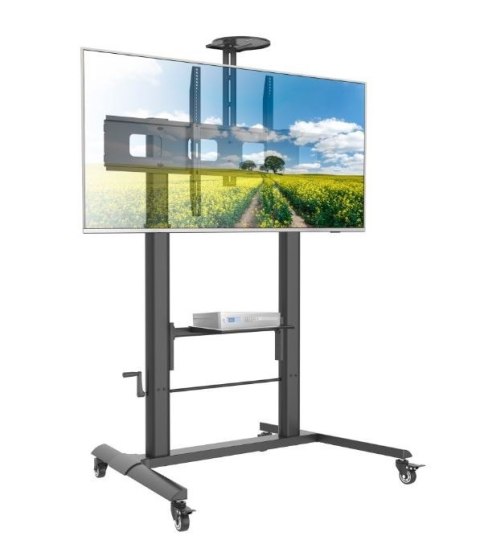 Stojak Mobilny do Tablic interaktywnych 52-110cali, 120kg, płynna regulacja Techly