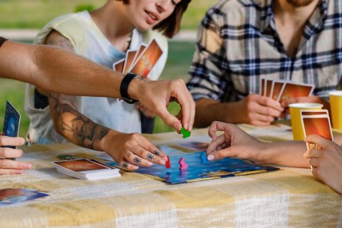 Gra Dixit (2024) Rebel