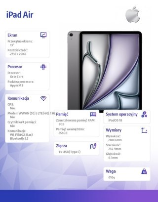IPad Air 13 cali WiFi 256GB Szary Apple