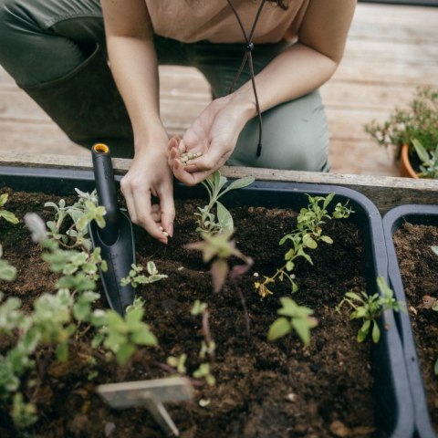 Łopatka wąska Solid 1072101 Fiskars