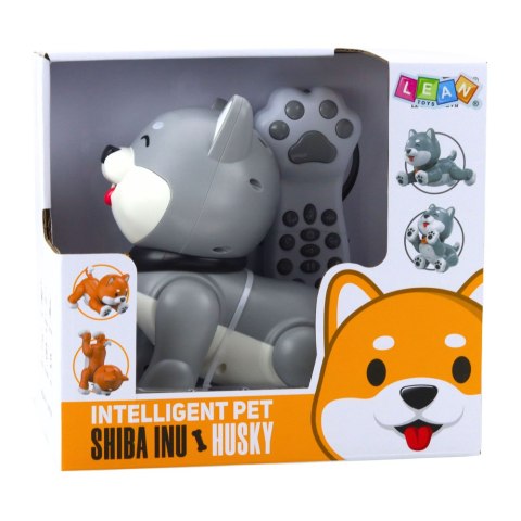 Interaktywny Robot Pies Husky Zdalnie Sterowany RC Głosem Sztuczki Szary LEAN Toys