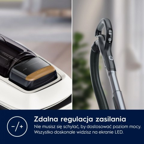 Odkurzacz bezworkowy Pure C9 PC91-ALRG Electrolux