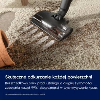 Odkurzacz pionowy Animal 800 EP82AB25UG Electrolux