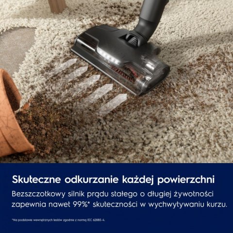 Odkurzacz pionowy Animal 800 EP82AB25UG Electrolux