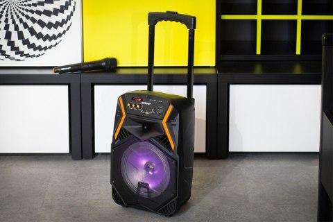 Głośnik APS22 system audio Bluetooth Karaoke PRIME3