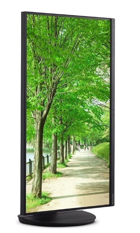 Monitor MultiSync EA272QB 27 cali czarny Sharp