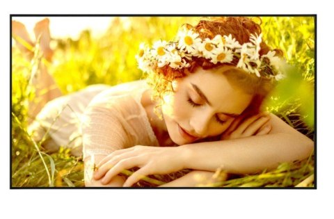 Monitor wielkoformatowy 55UL5Q-E 500cd/m2 UHD 24/7 LG Electronics