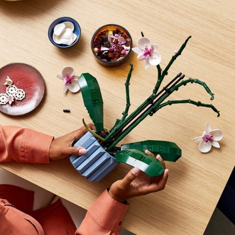 Klocki Botanicals 10311 Orchidea LEGO