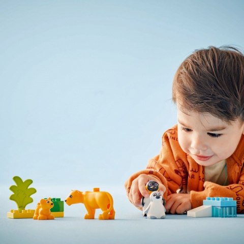 Klocki DUPLO 10442 Rodziny dzikich zwierząt: pingwiny i lwy LEGO
