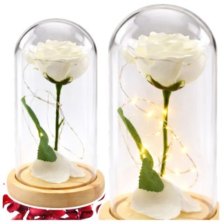 Wieczna Róża W Szkle Kopuła Oświetlenie LED Biała 21x11cm LEAN
