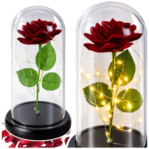 Wieczna Róża w Kopule z Oświetleniem LED Czerwona 21x11cm LEAN