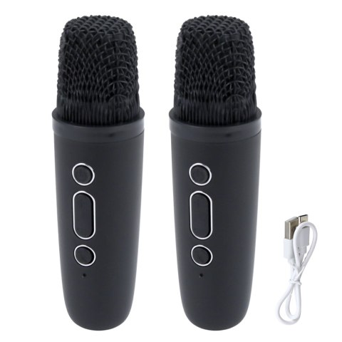 Zestaw Do Karaoke Głośnik Dwa Mikrofony Światła LED Czarny LEAN