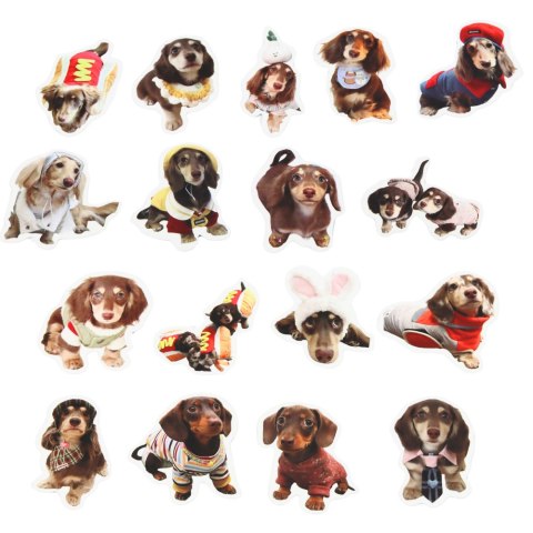 Zestaw Naklejki Z Pieskami Spaniel Papierowe Do Ozdabiania 50 szt. LEAN