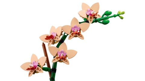 LEGO Botanical Collection 10343 - Mała orchidea