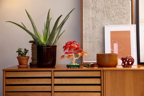 LEGO Botanical Collection 10348 - Klon palmowy Bonsai