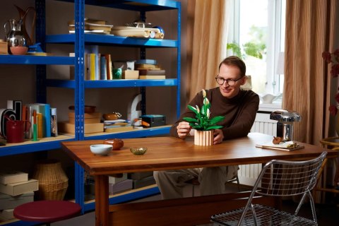 LEGO Botanical Collection 11504 - Skrzydłokwiat