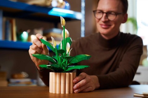 LEGO Botanical Collection 11504 - Skrzydłokwiat