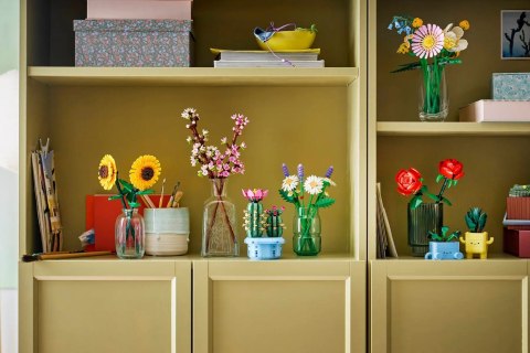 LEGO Botanical Collection 11508 - Stokrotki