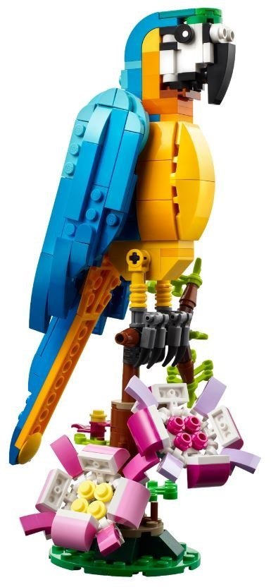 LEGO Creator 3w1 31136 - Egzotyczna papuga