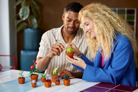 LEGO Icons 10329 - Małe roślinki