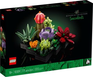 LEGO Botanical Collection 10309 - Sukulenty
