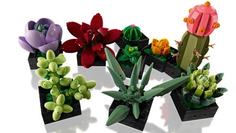 LEGO Botanical Collection 10309 - Sukulenty