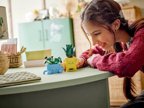 LEGO Botanical Collection 10349 - Wesołe roślinki