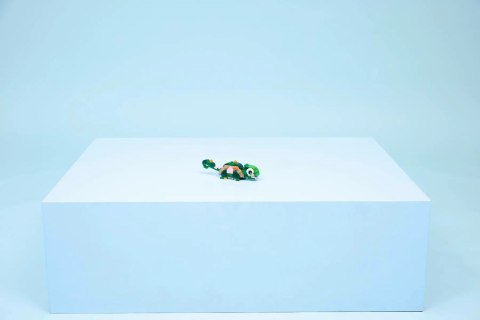 LEGO Creator 3w1 31377 - Żółw i kwiat lilii wodnej