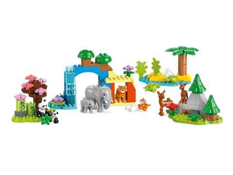 LEGO DUPLO TOWN 10446 Rodziny dzikich zwierząt 3w1