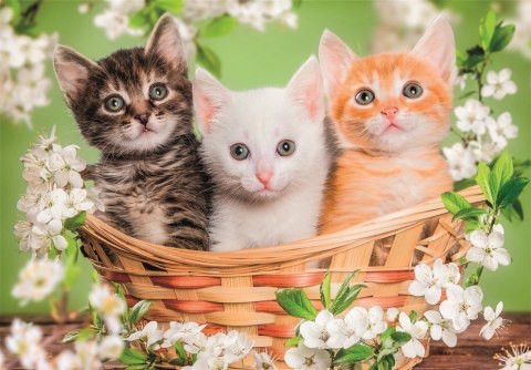 Puzzle 2x60 Super Color BRACIA W FUTRACH PIESKI I KOTKI Clementoni 24820 Clementoni