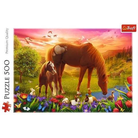 Puzzle - 500 - Konie na łące - Trefl 37451 Trefl Puzzle